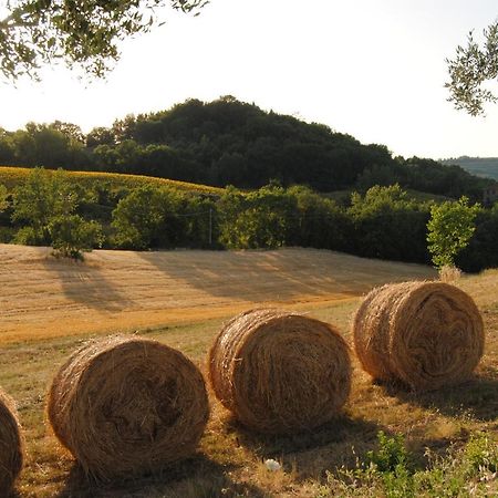 Sorelle Biologiche Vila Monte Castello di Vibio Exterior foto