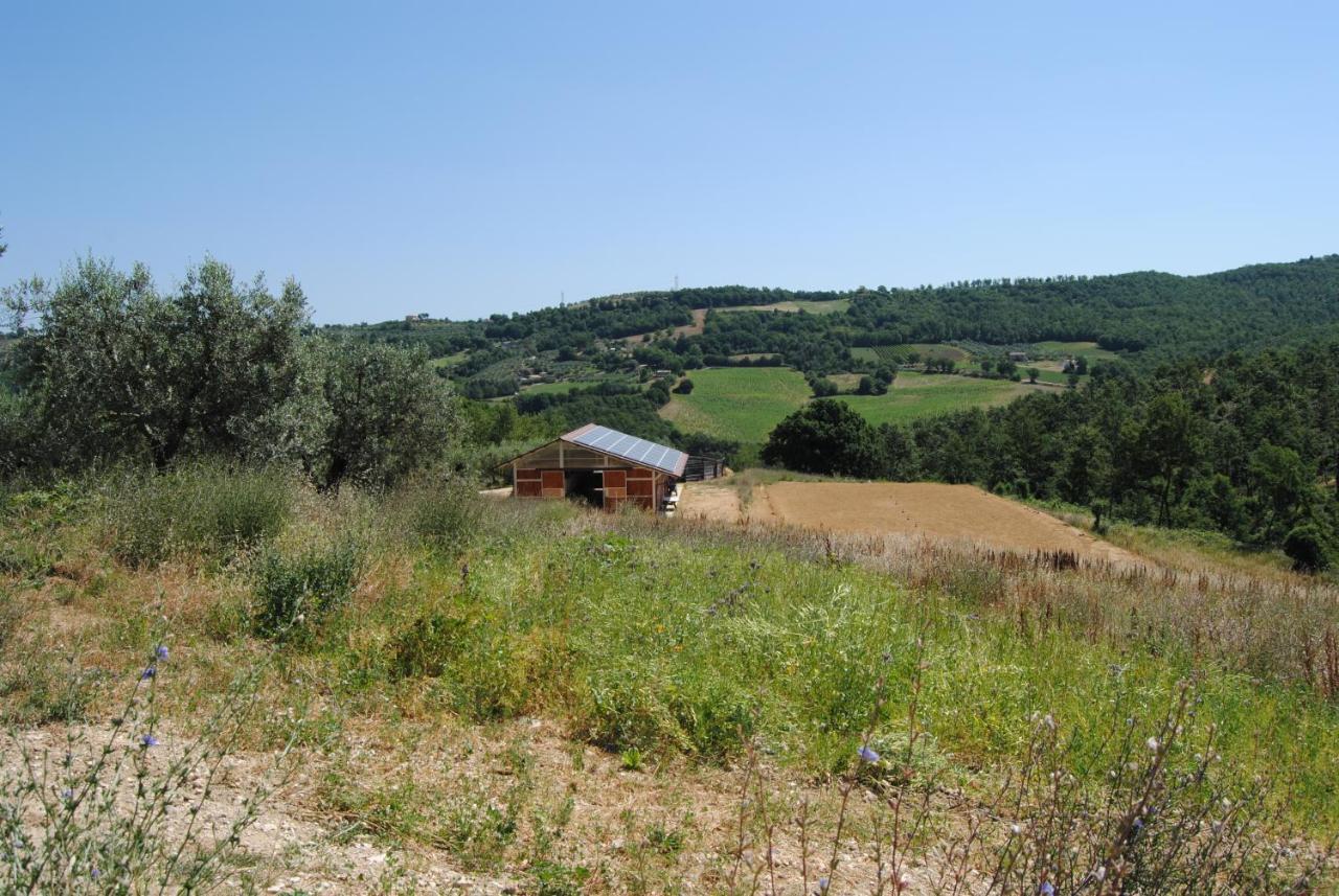 Sorelle Biologiche Vila Monte Castello di Vibio Exterior foto